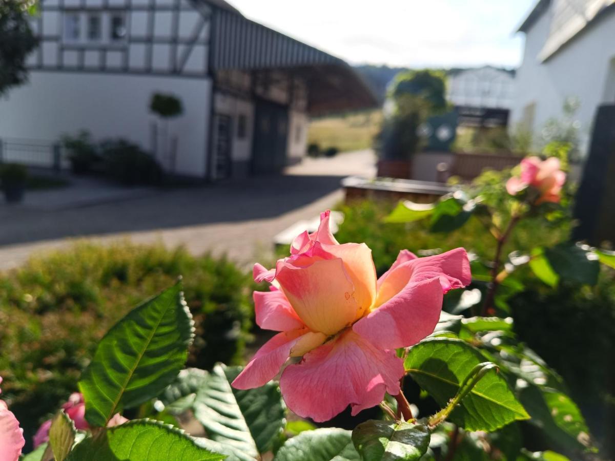 Ferienwohnung kleine AusZeit Eslohe Exterior foto